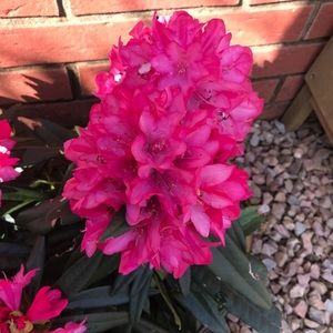 Meet your Posher, Joanna